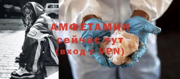 стаф Богданович