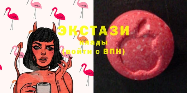стаф Богданович