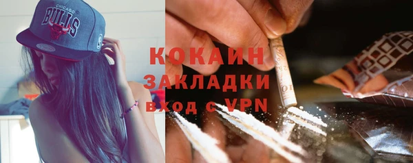стаф Богданович