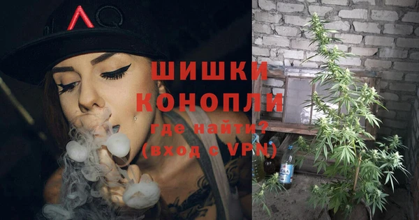 стаф Богданович