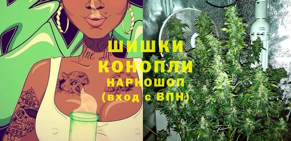 стаф Богданович