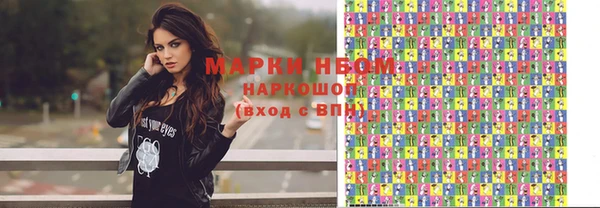 стаф Богданович