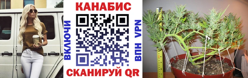 Бошки Шишки Ganja  наркотики  Будённовск 